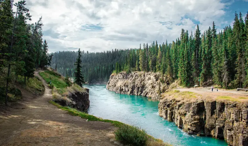 Viaje canada-vancouver-whitehorse-tvg-4575