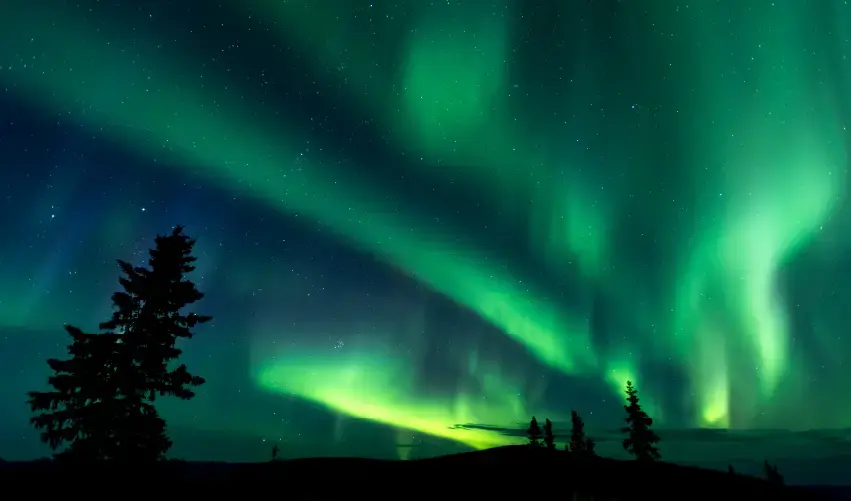 Viaje viaje-yukon-canada-tvg-4583