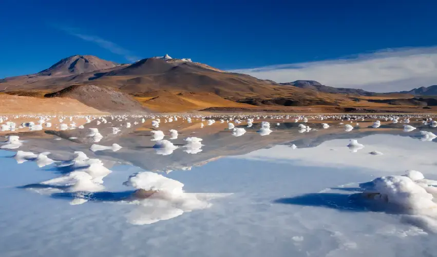 Viaje viaje-sudamerica-chile-santiago-san-pedro-atacama-4599