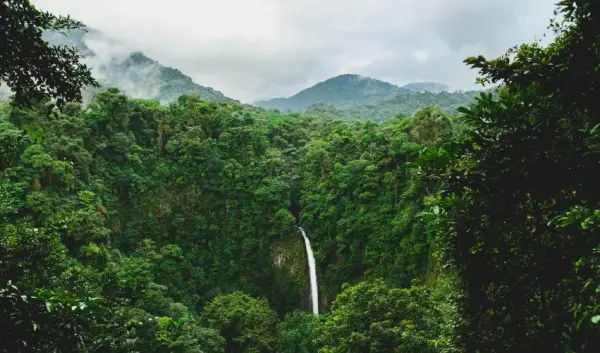 VIAJE SAN JOSE COSTA RICA 4642