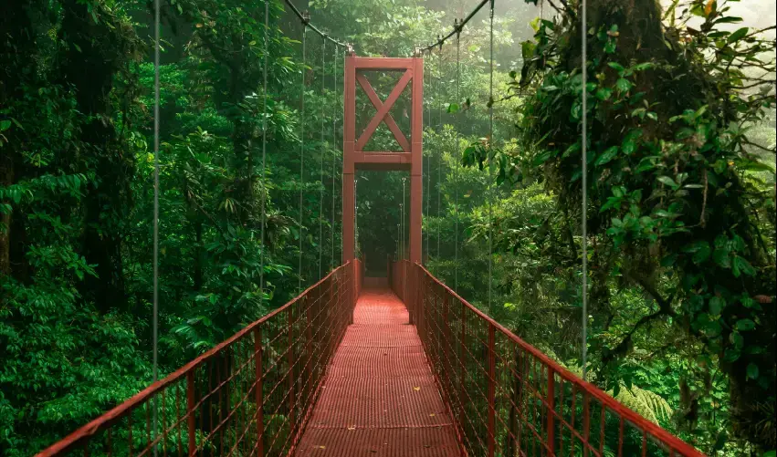 Viaje viaje-centroamerica-san-jose-arenal-monteverde-costa-rica-4649