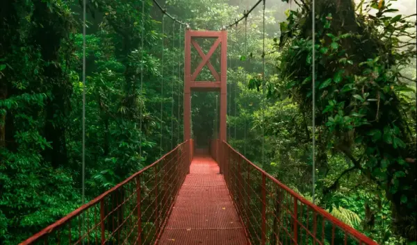 VIAJE VIAJE CENTROAMERICA SAN JOSE ARENAL MONTEVERDE COSTA RICA 4649
