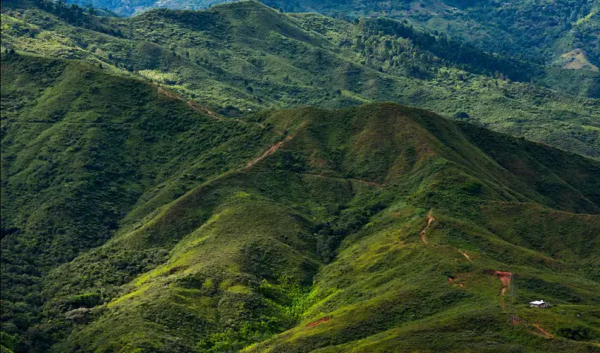 Viaje viaje-sudamerica-cali-pereira-medellin-colombia-4738
