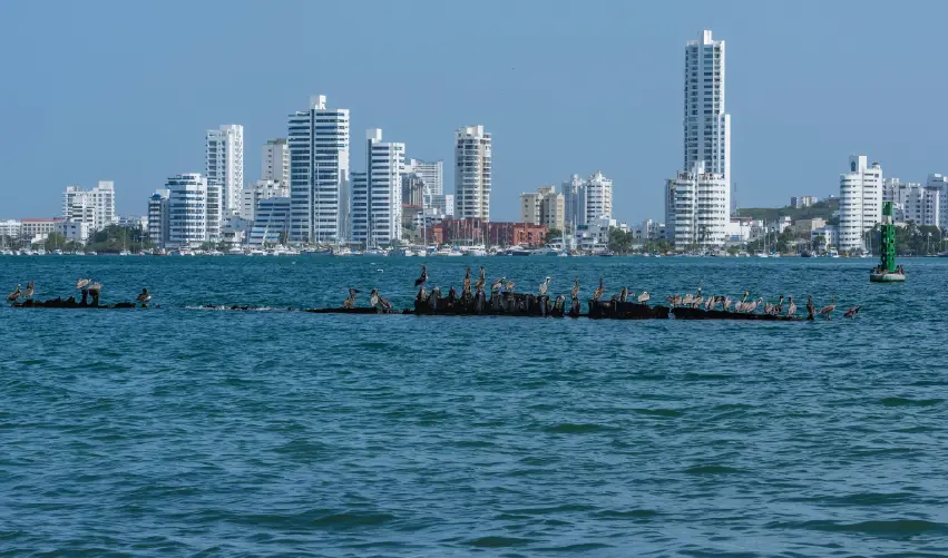 Viaje viajes-sudamerica-bogota-san-andres-providencia-cartagena-4841