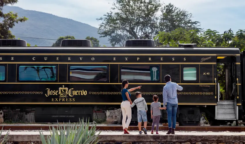 Viaje viaje-guadlajara-jalisco-mexico-5229