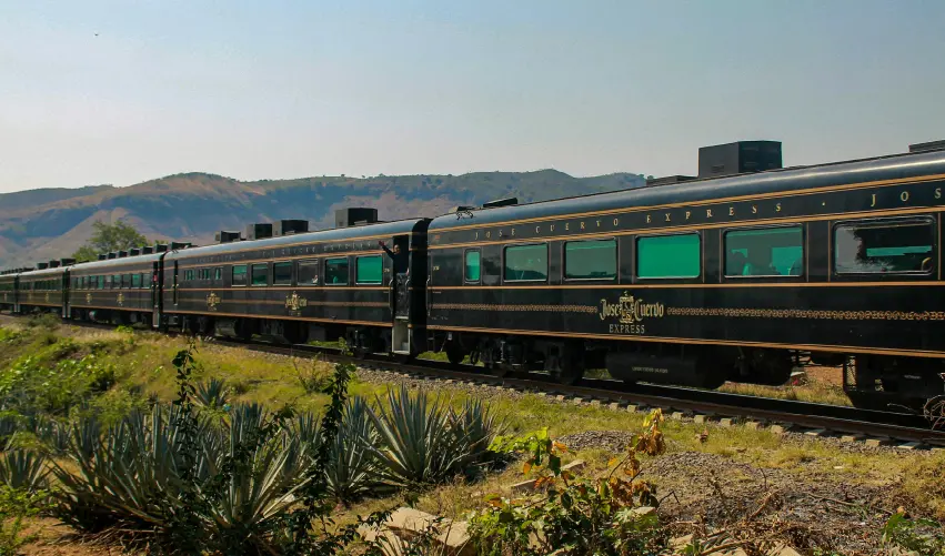 Viaje viaje-guadlajara-tequila-jalisco-mexico-5255
