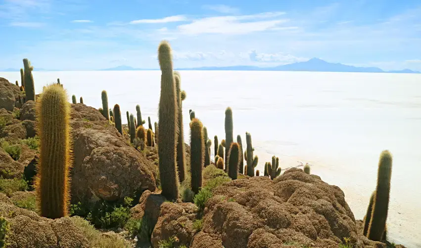 Viaje circuito-bolivia-5521
