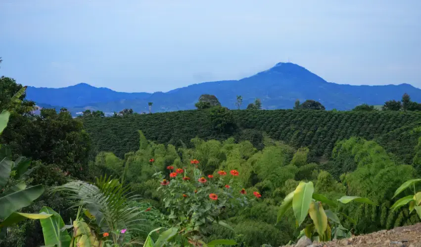 Viaje circuito-colombia-5548